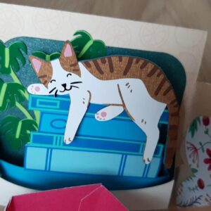 Photo du détail du chat de la carte explosion box tea time